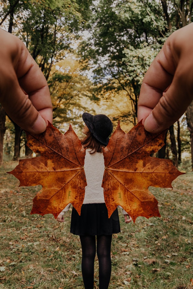 girl with wings out of autumn leaves